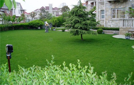 草坪草皮绿化工程