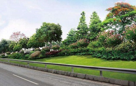 道路绿化施工